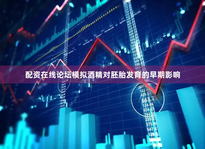 配资在线论坛模拟酒精对胚胎发育的早期影响