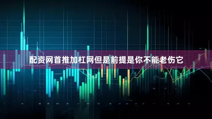 配资网首推加杠网但是前提是你不能老伤它